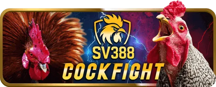 Cá cược bóng rổ tại sv3888 link vào
